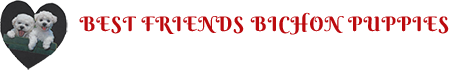 Best Friends Bichon Puppies, Logo